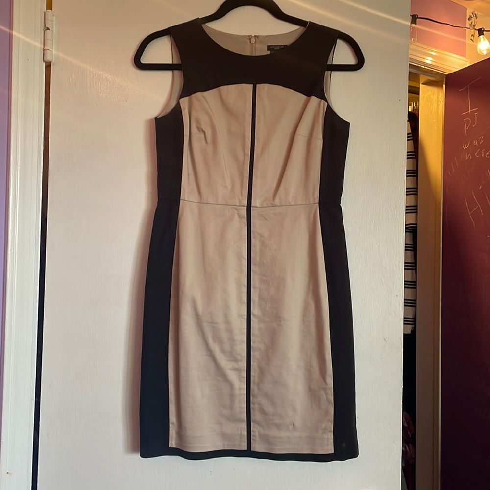 Ann Taylor Dress